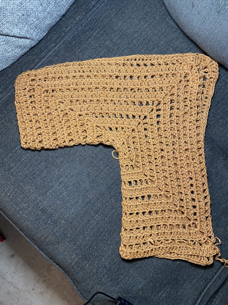 day date cardigan progress